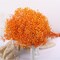Dried Baby’s Breath Bouquet – 17 Inch, 2500+ Ivory & Orange Gypsophila Stems for Wedding, DIY Wreaths, Table Vases, Home Decor, Party & Garden Floral Arrangement